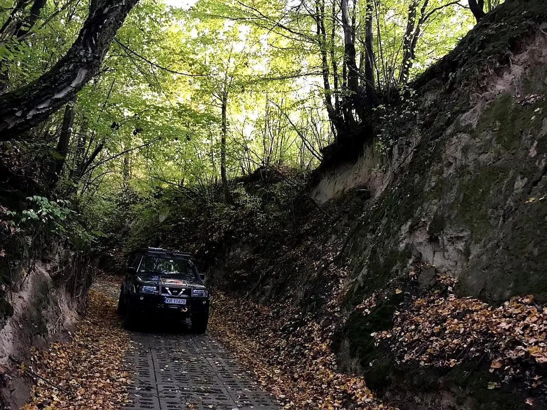 Kazimierskie Wąwozy Kraina Lessy